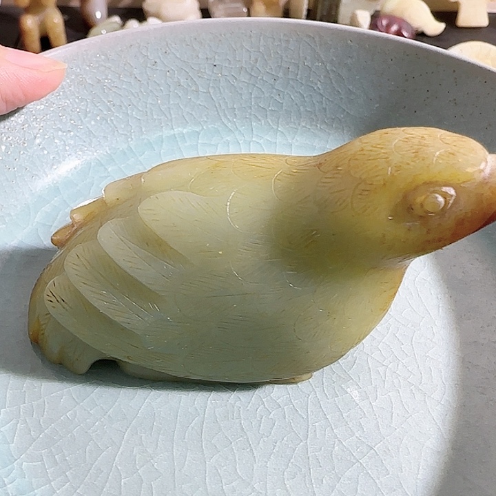 一***⁴瓷片tgghjbxsdccbnnmm