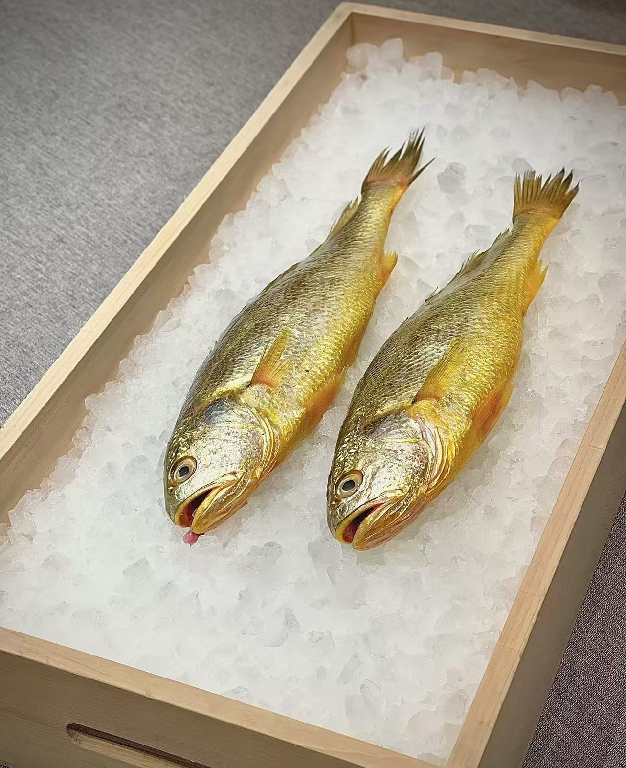 鲜冻东海海捕大黄鱼 1.05kg（5-6两/条*4条 ）