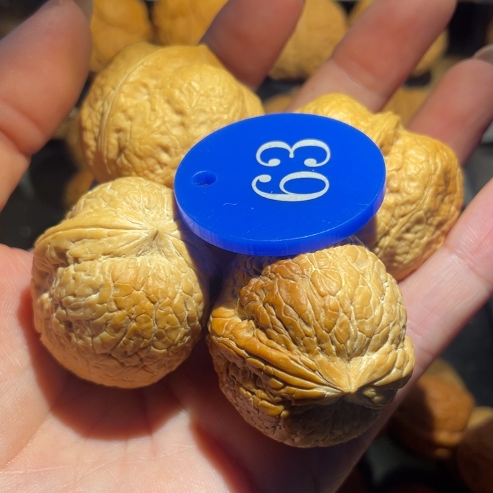 核***仁大西瓜36的120方墩40的120