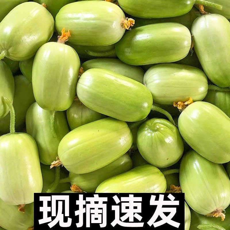 山东潍坊现摘新鲜拇指小黄瓜 玉女黄瓜 产地直发脆嫩清脆