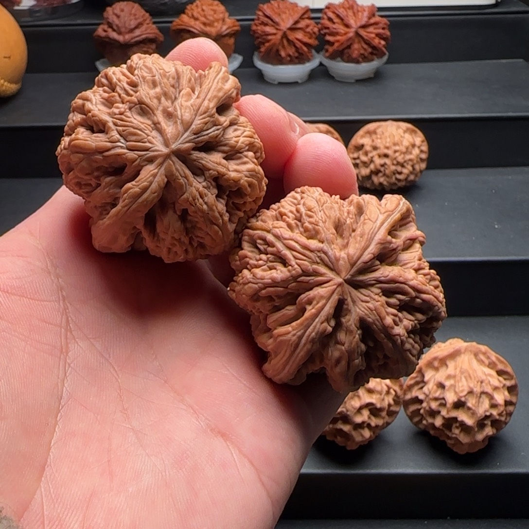 文玩核桃吊坠48大粗筋