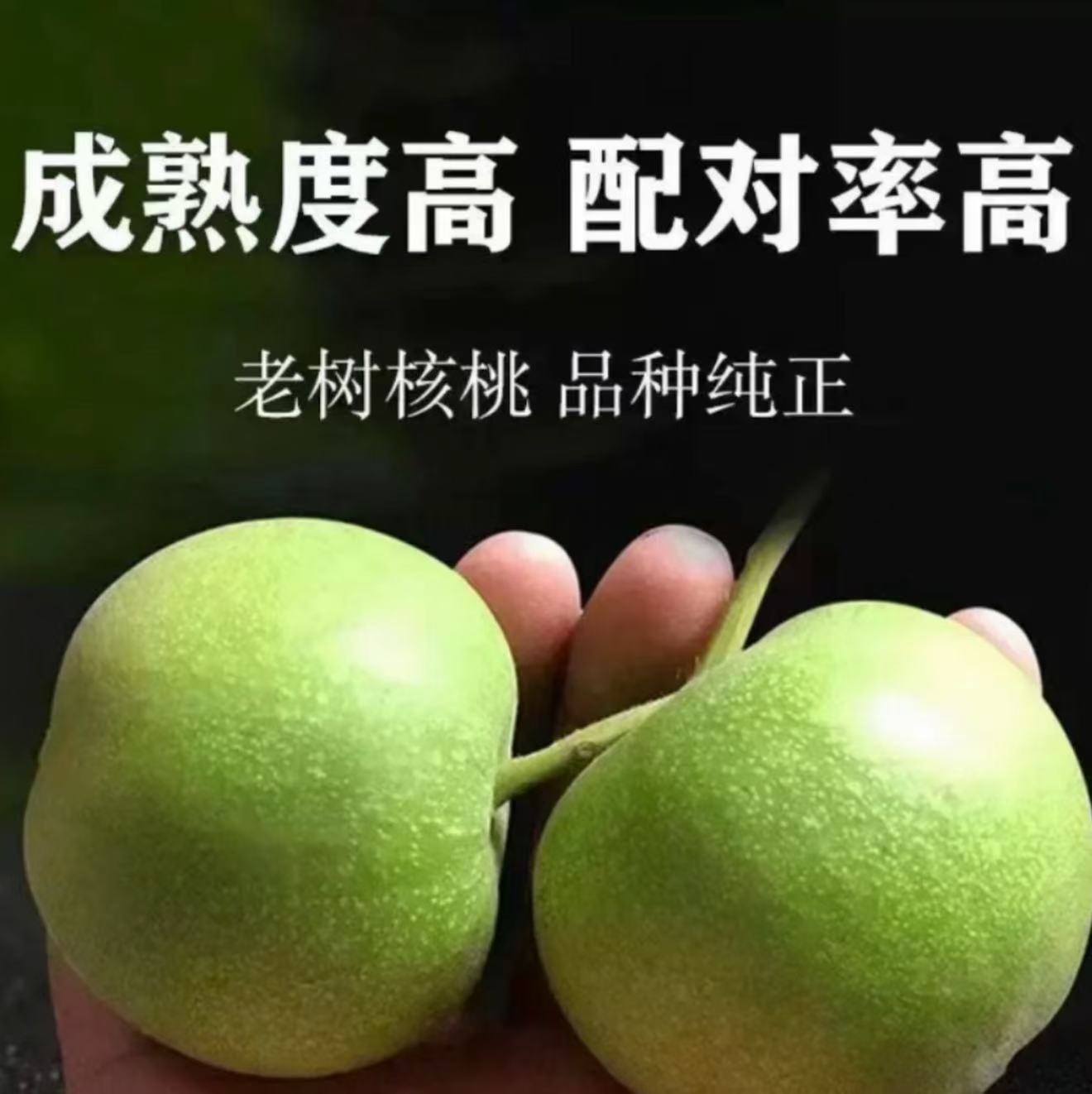 新号福利  蛤蟆头（2个）大果 保熟 友情配对