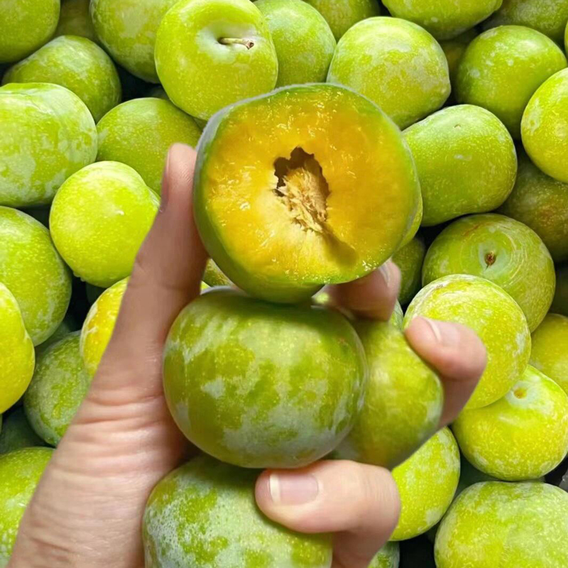 正宗四川脱骨李子五月脆当季新鲜孕妇水果当季空心李整箱包邮