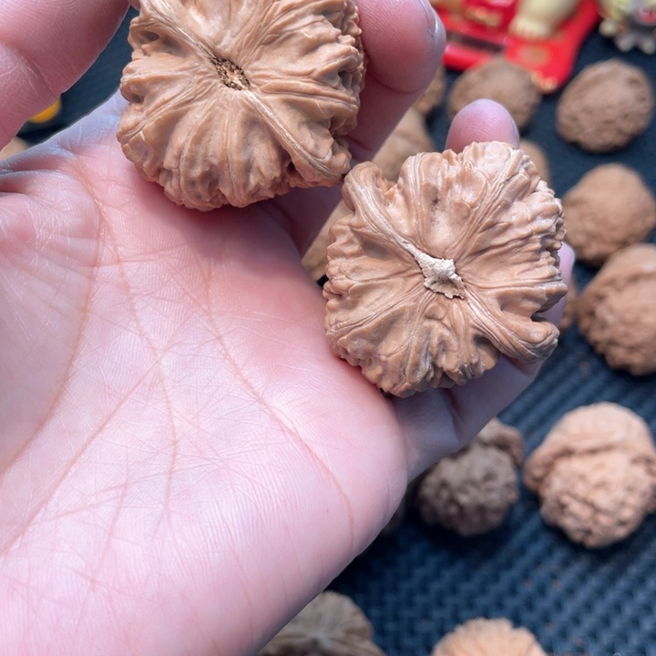 文玩核桃把件?****?白狮子4.1全品