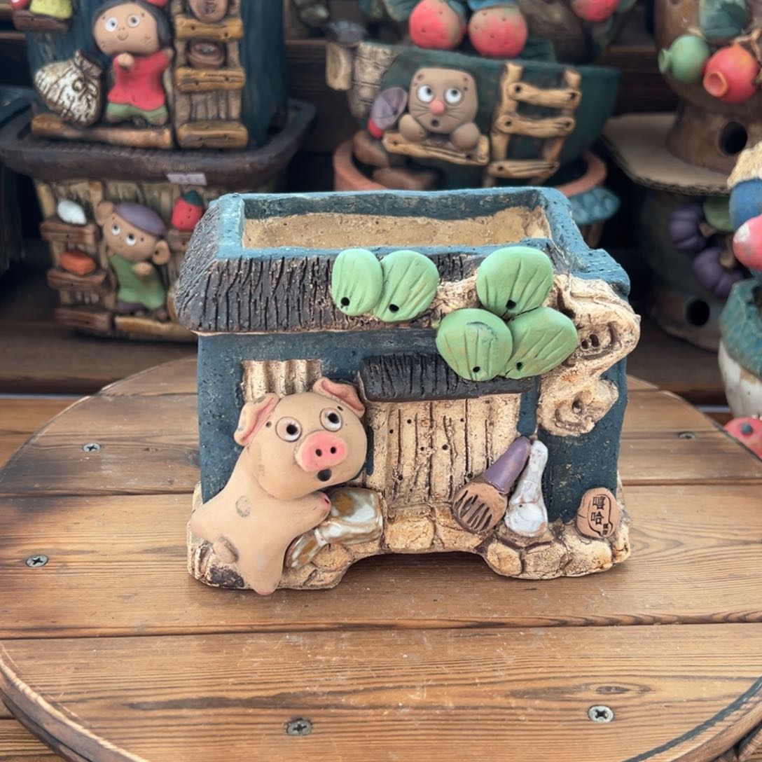 红陶嘻哈多肉花盆