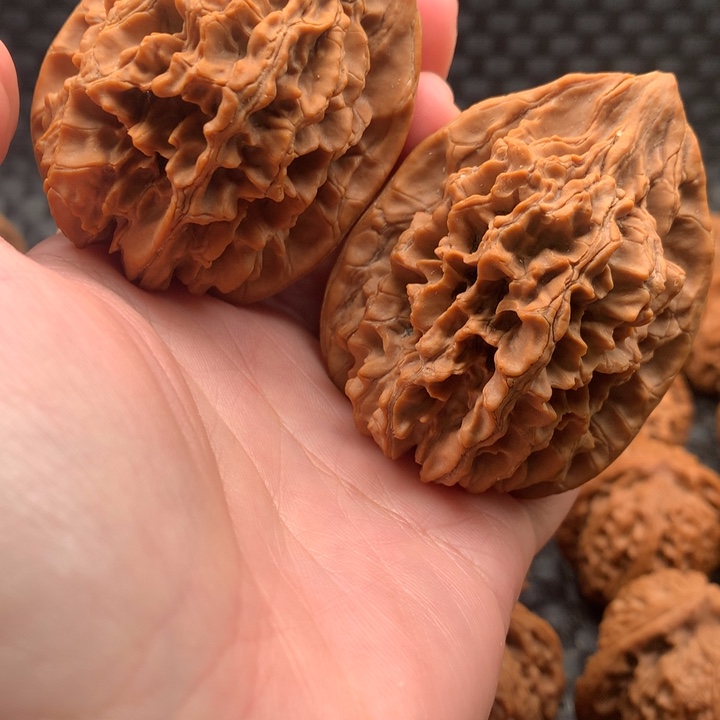 玫***后46大花狮子头（有断齿和磕碰）