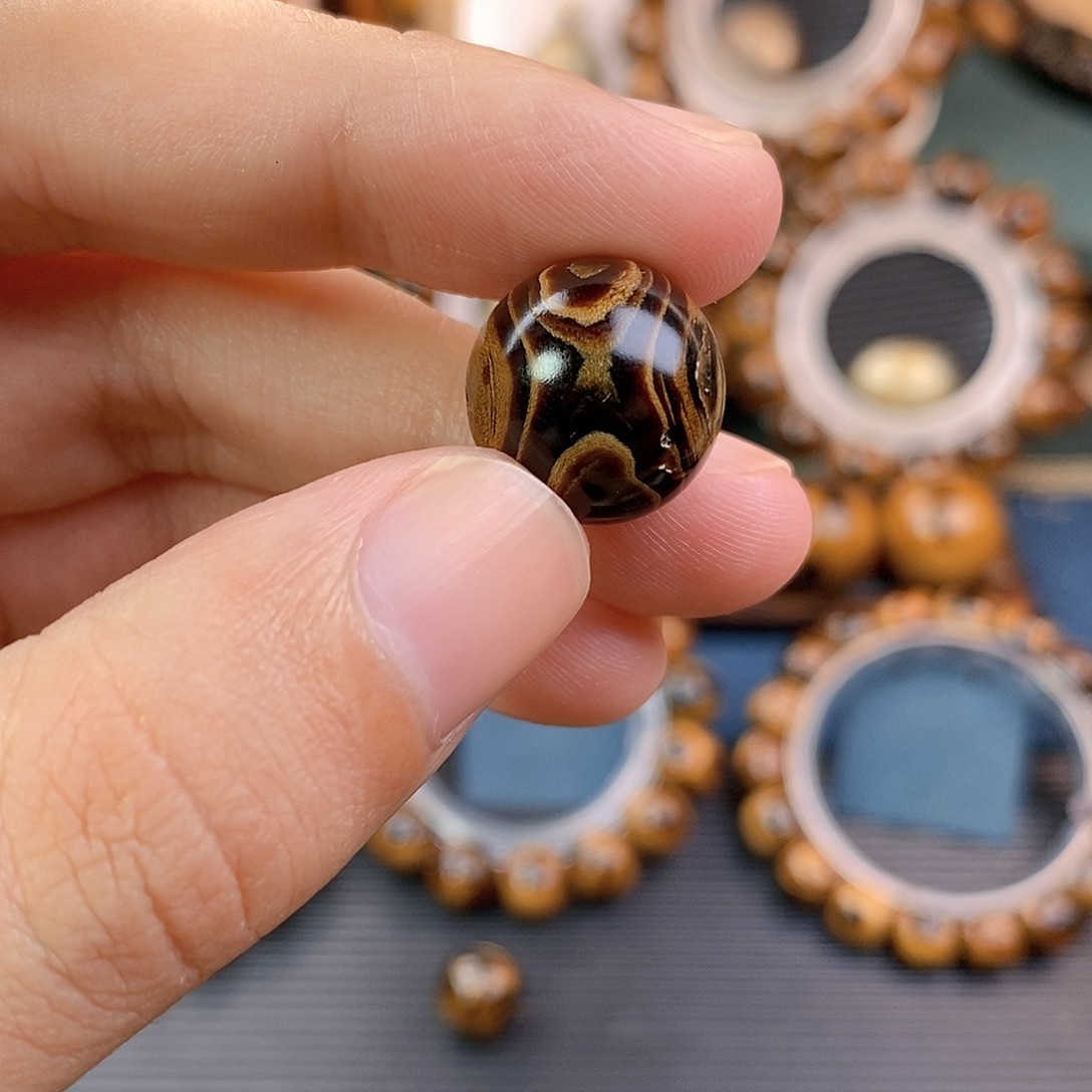 安南黄檀（紫檀柳）双叉双眼16