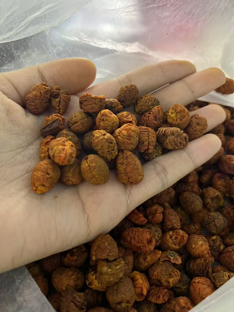 龙腾专属-龙鳞果茶