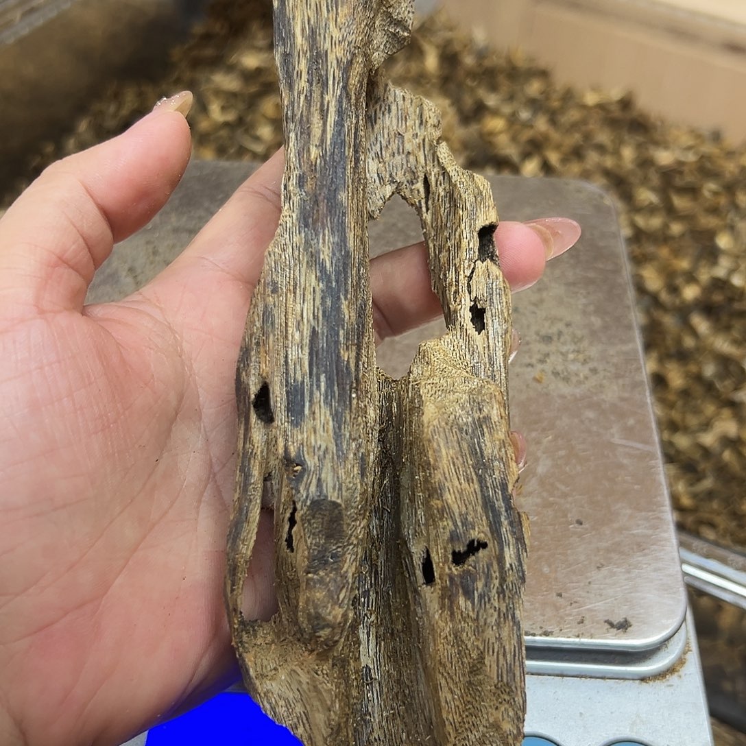 沉香碎屑沉香奇楠沉香原材料53.8g
