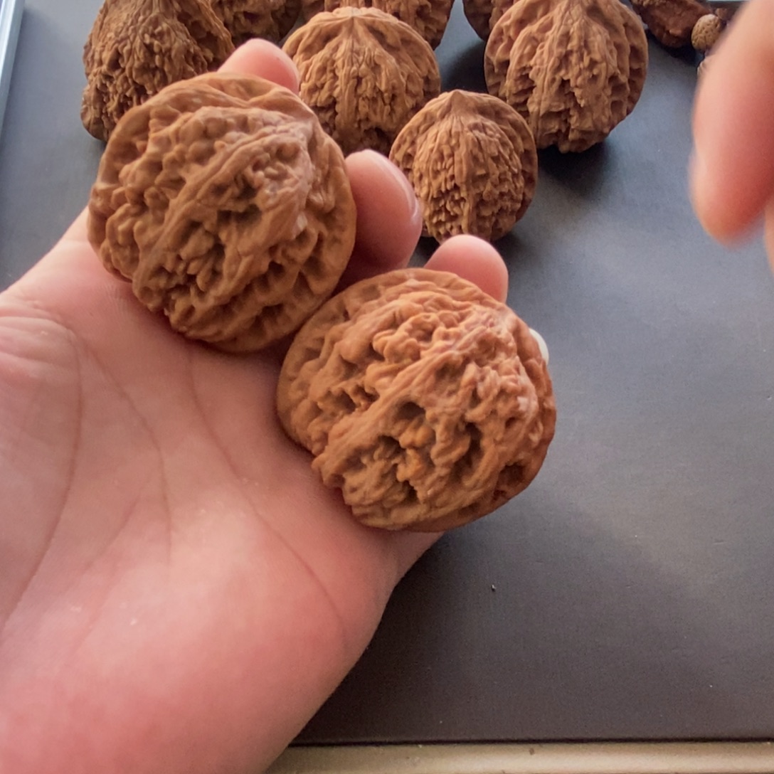 小****大叶紫檀（黑酸枝木类）粗筋