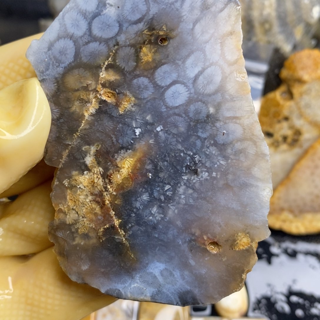 【闪购商品】硅化玉颈饰未镶嵌