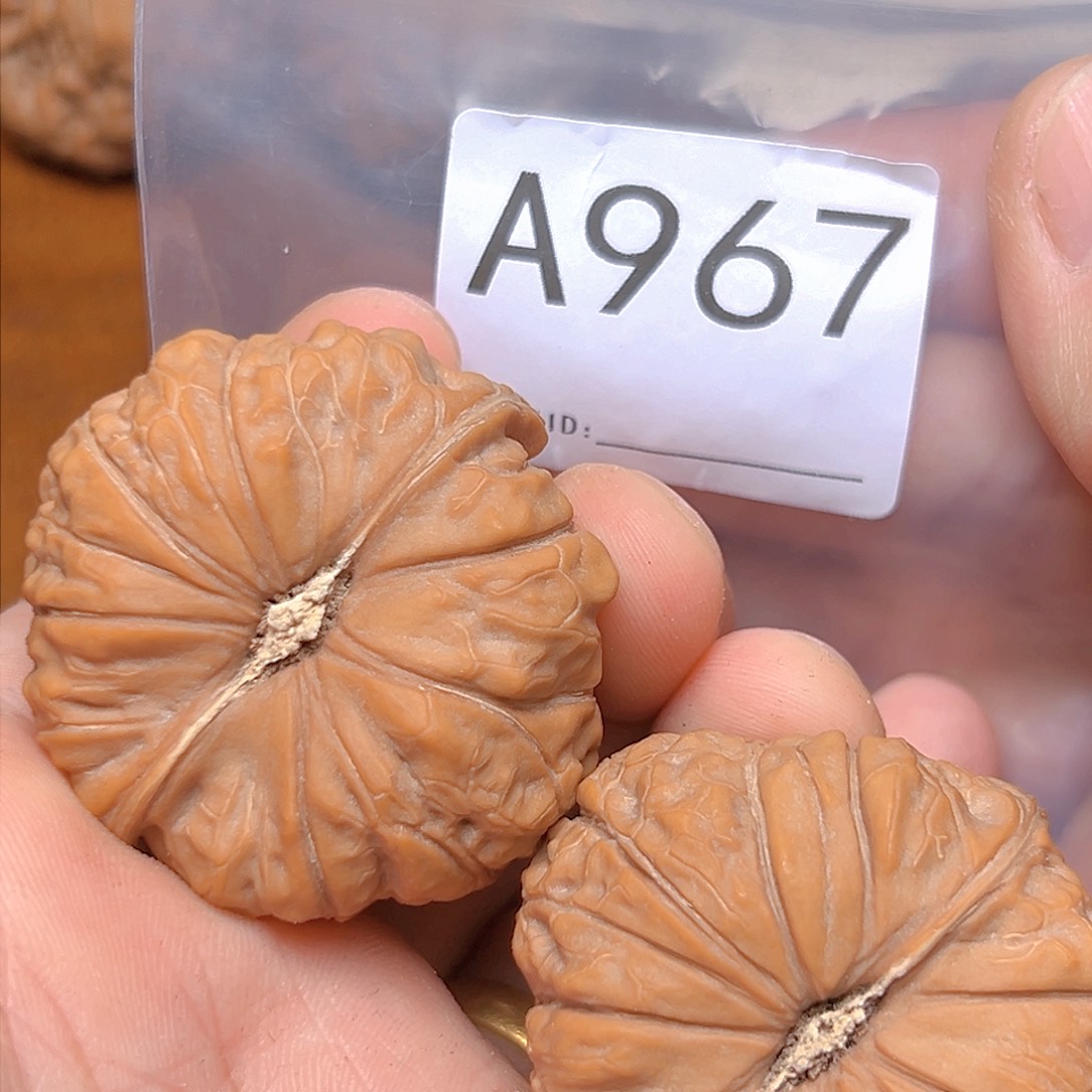 文玩核桃吊坠47南瓜