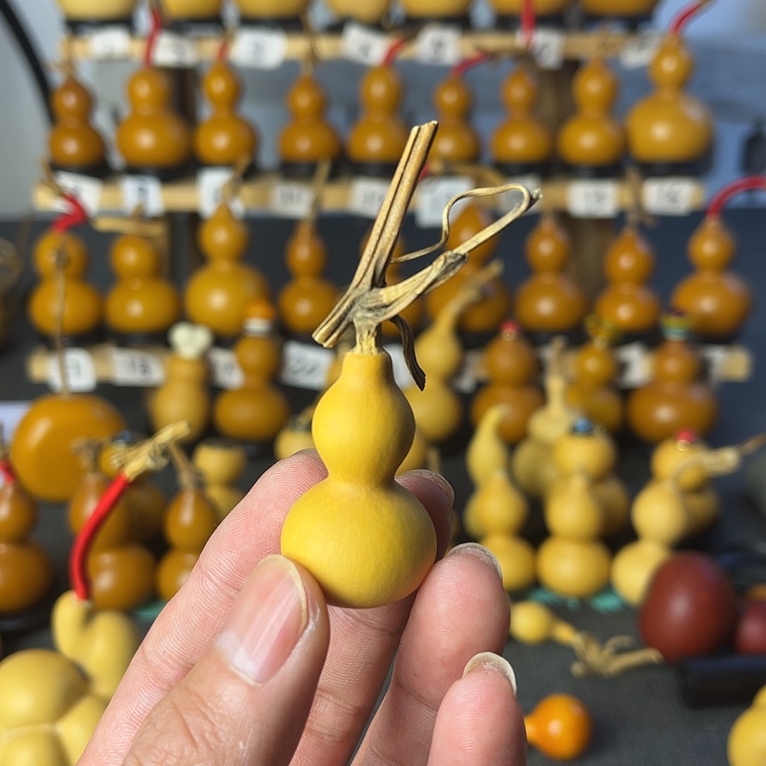 色**友葫芦根和芹菜丝一起