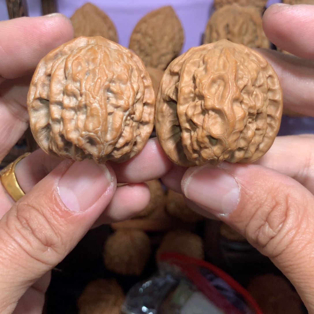 文玩核桃把件野狼福利