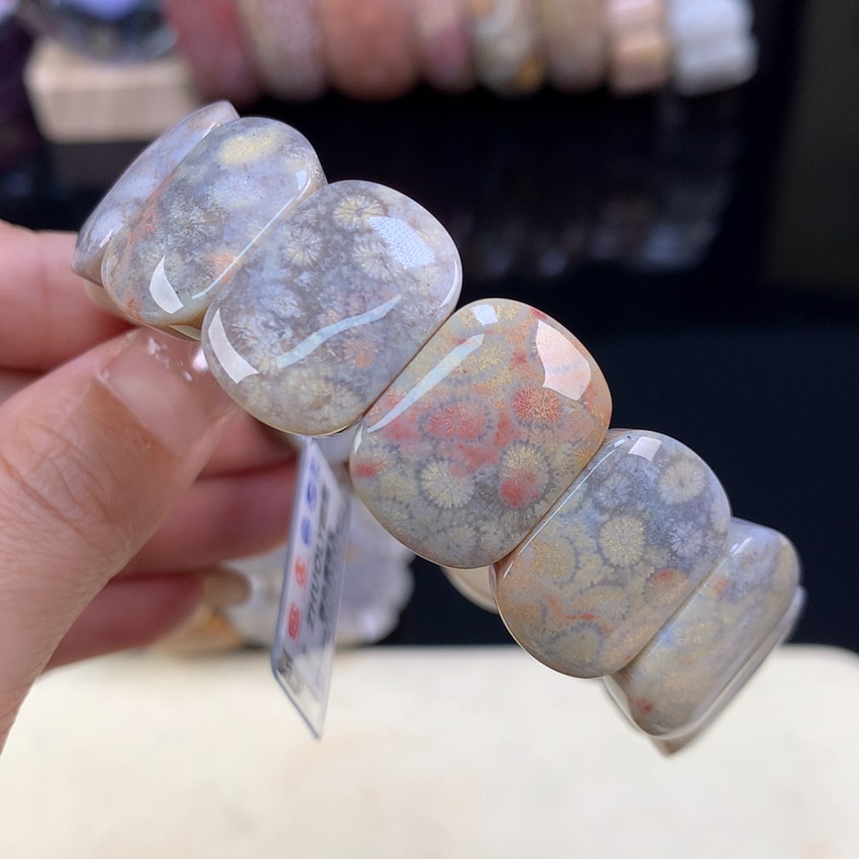 【闪购商品】颈饰未镶嵌硅化珊瑚（珊瑚玉）开播福利10号