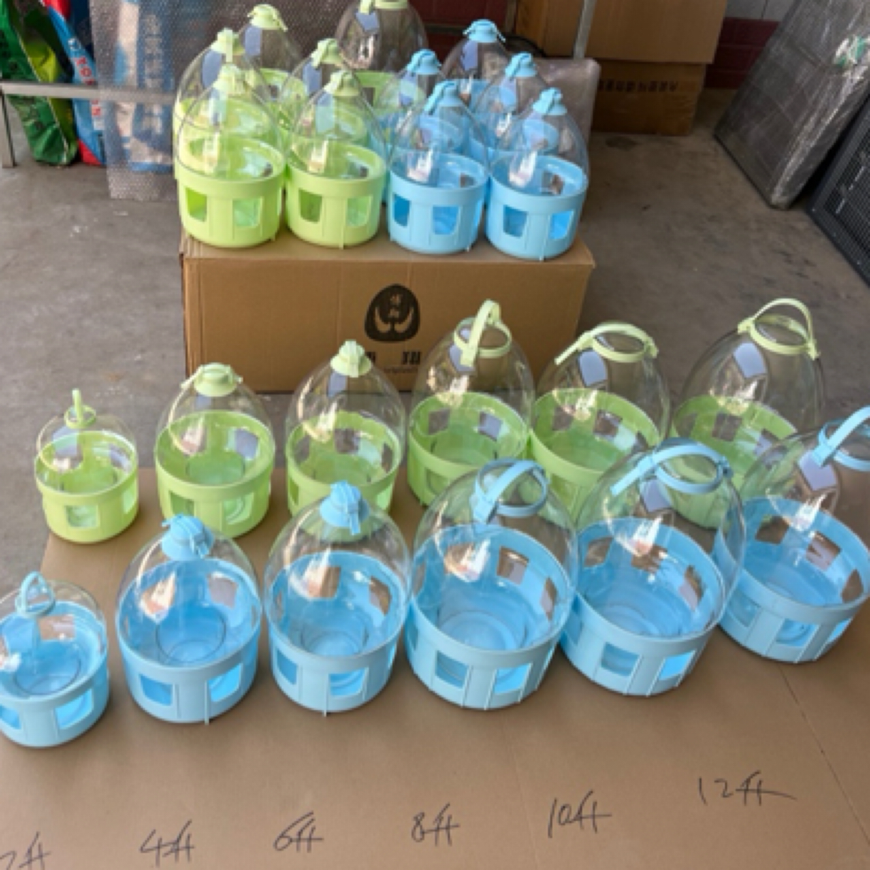 鸽子博翔水壶拍一发二