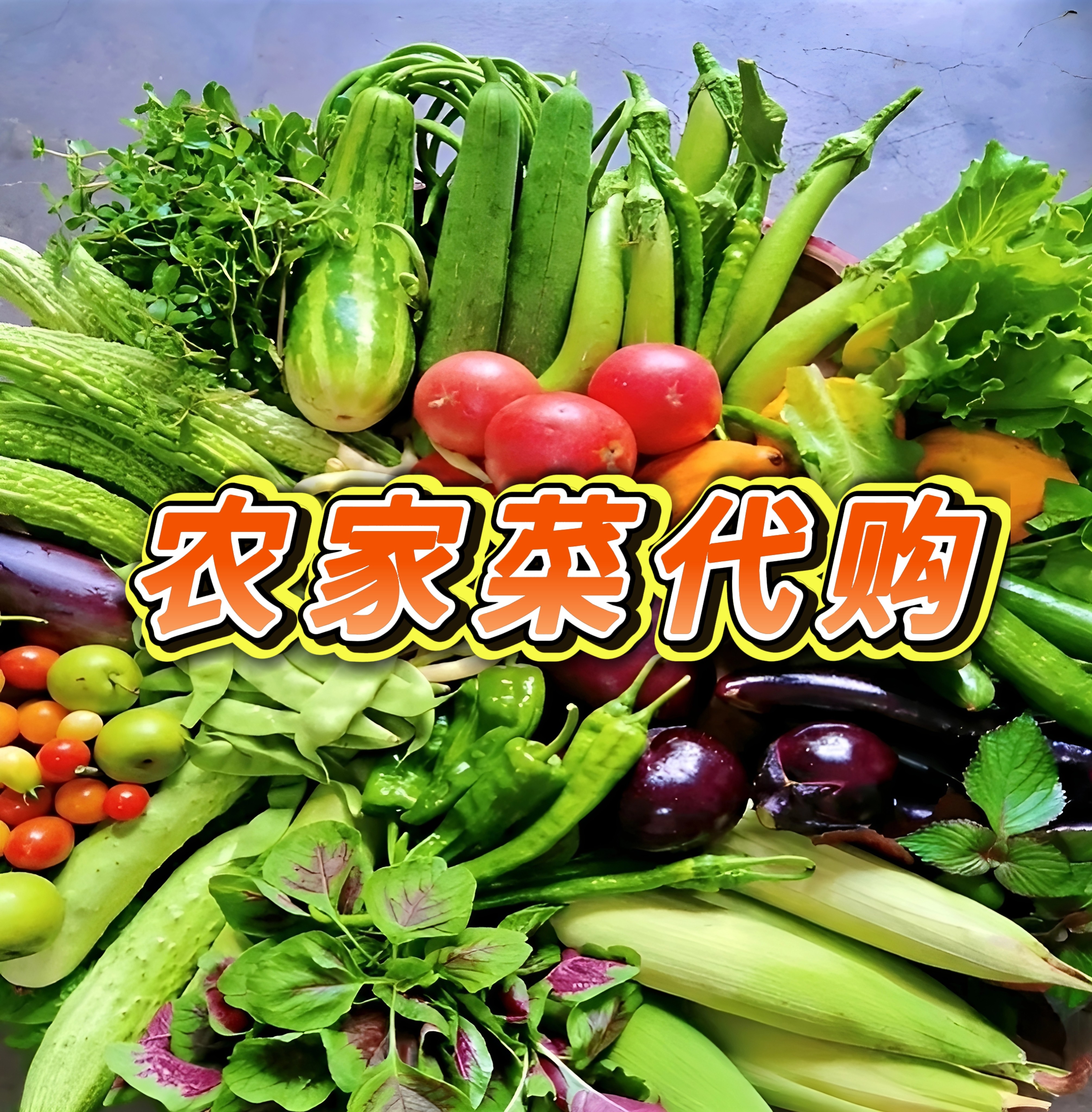 代购【寿宁农产】本地瓜果蔬菜青菜黄独