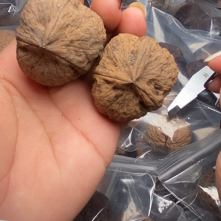 文玩核桃把件20号41mm