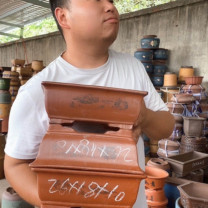 紫砂花盆盆栽植物花卉苗木种植