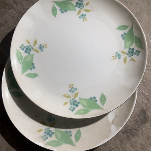 其他瓷10寸盘两个