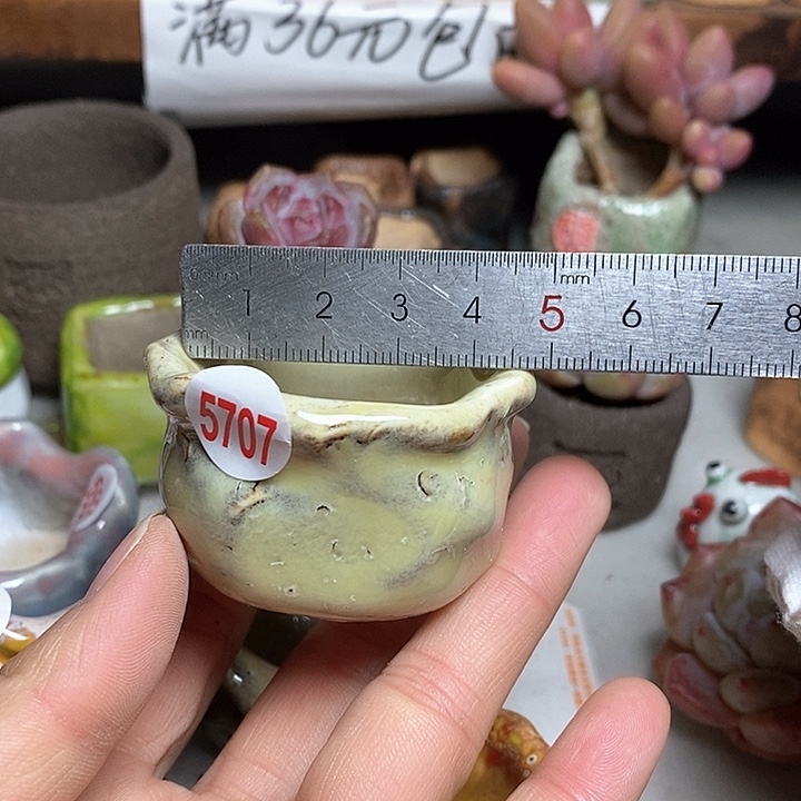 红陶处理的，处理