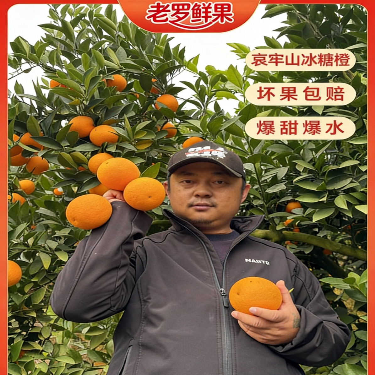 【精品果】云南哀牢山冰糖橙现摘现发皮薄肉厚70-98mm配开果器