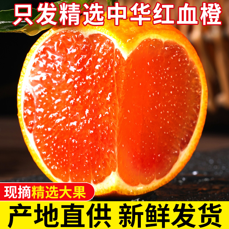 秭归血橙精选3/5/9斤正宗中华红橙现摘橙子时令水果农家自种新鲜