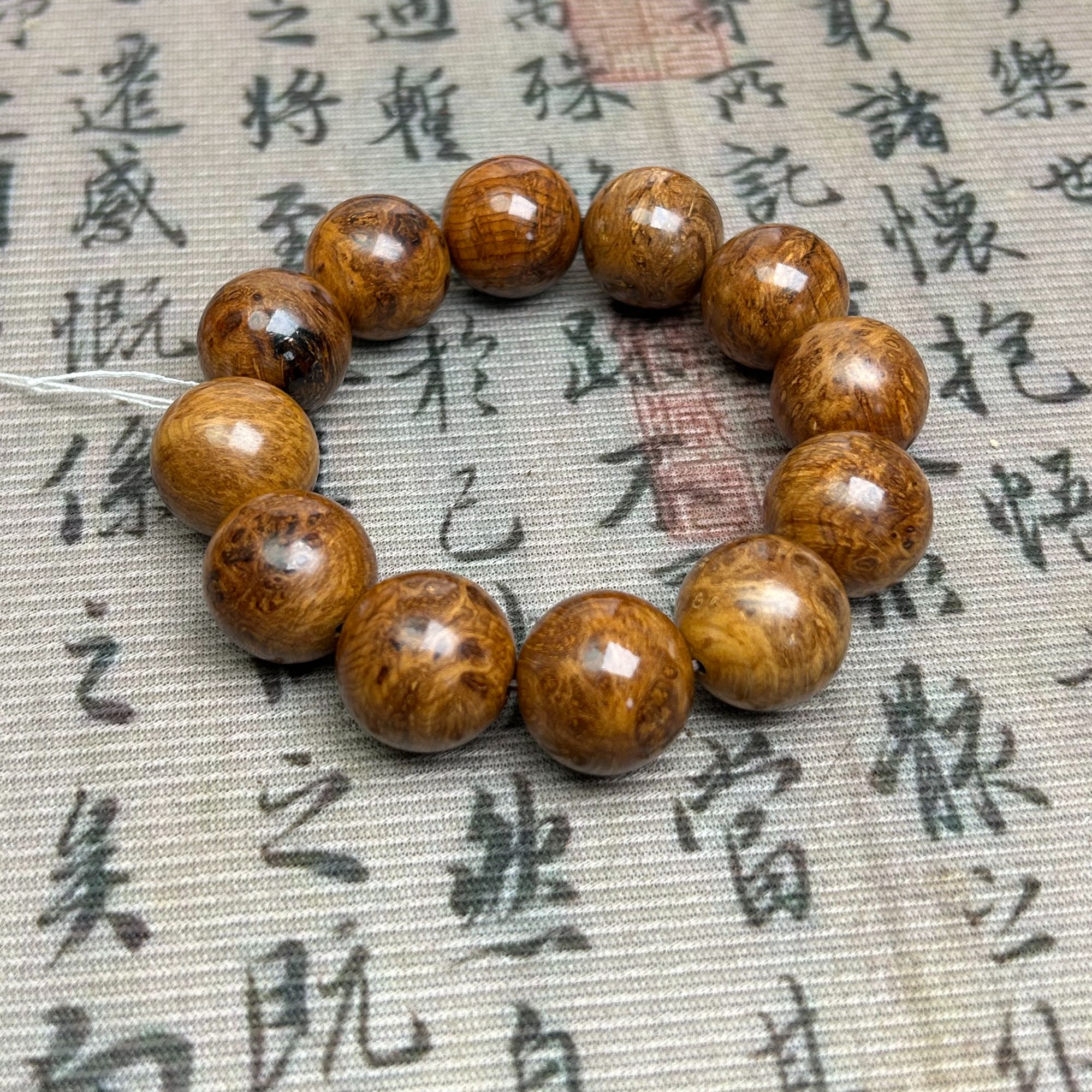 2.0变异瘤蚂蚁腿黑金刚