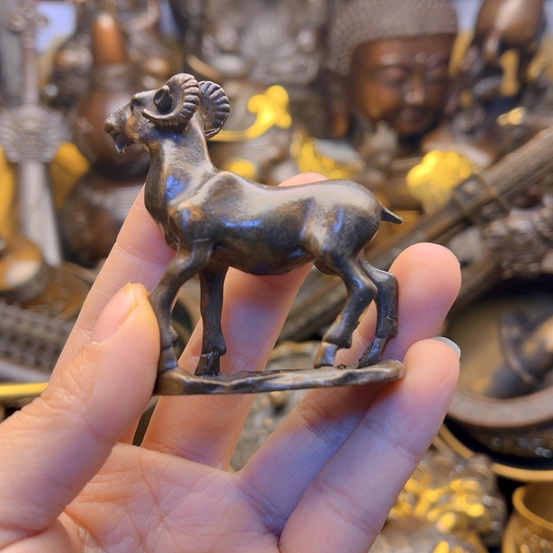 铜666666666666666666666