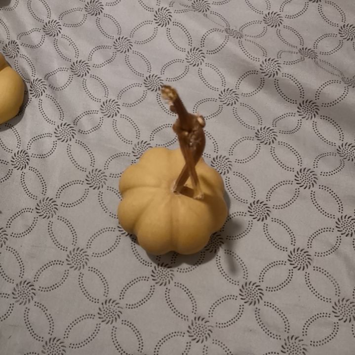 家***主自然葫芦专拍链接