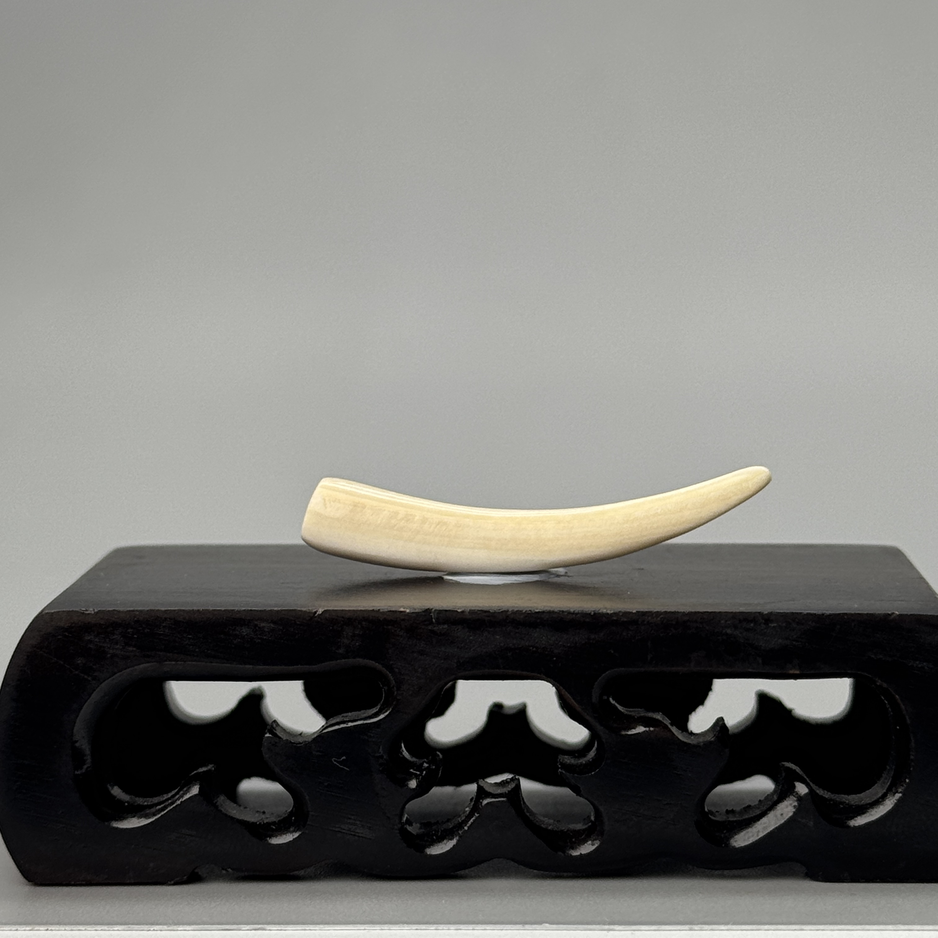 DEZHI/德志1.4g二层皮牙尖41*6*5mm猛犸牙默认打孔绑绳P355