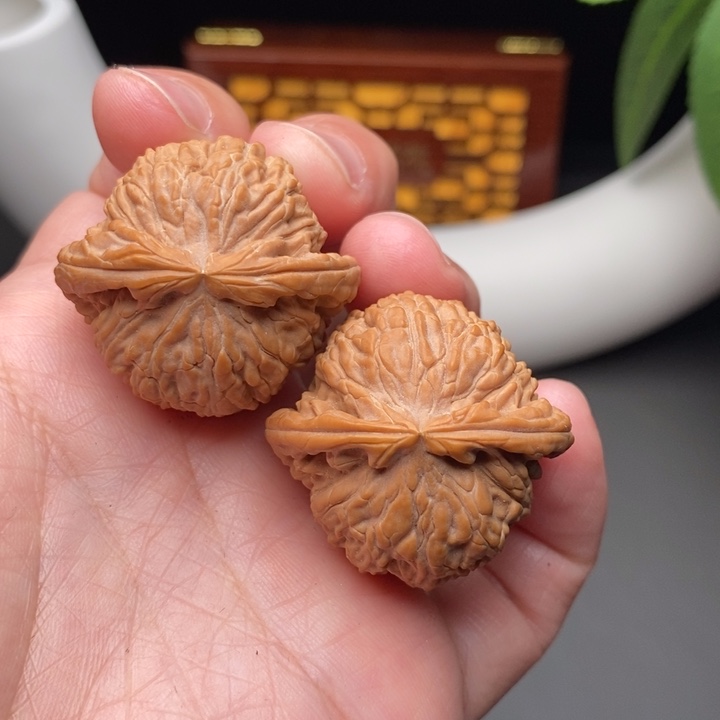 文玩核桃把件白狮子35.5