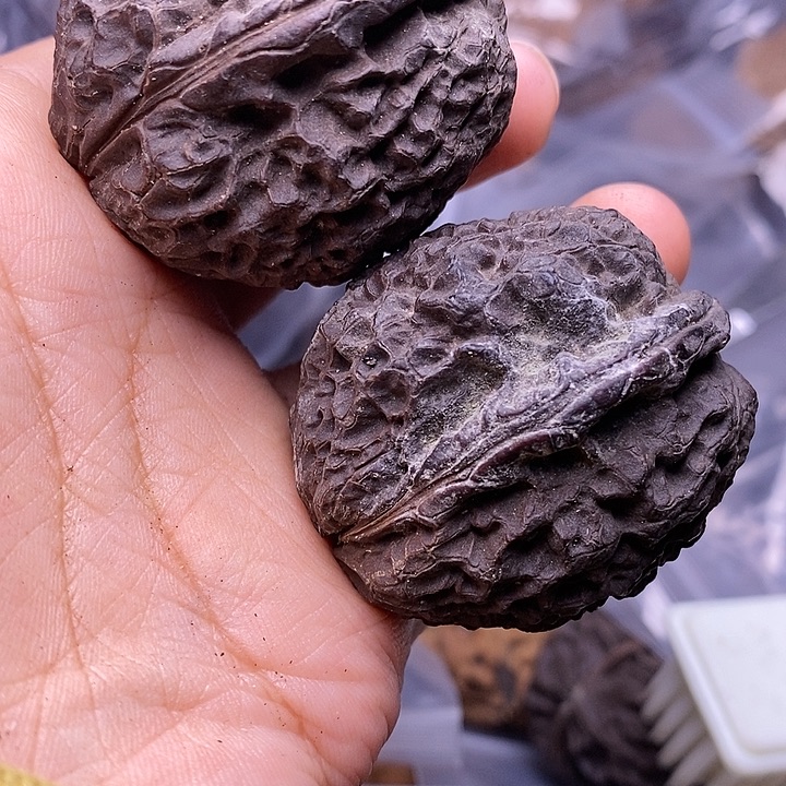 把件文玩核桃  76