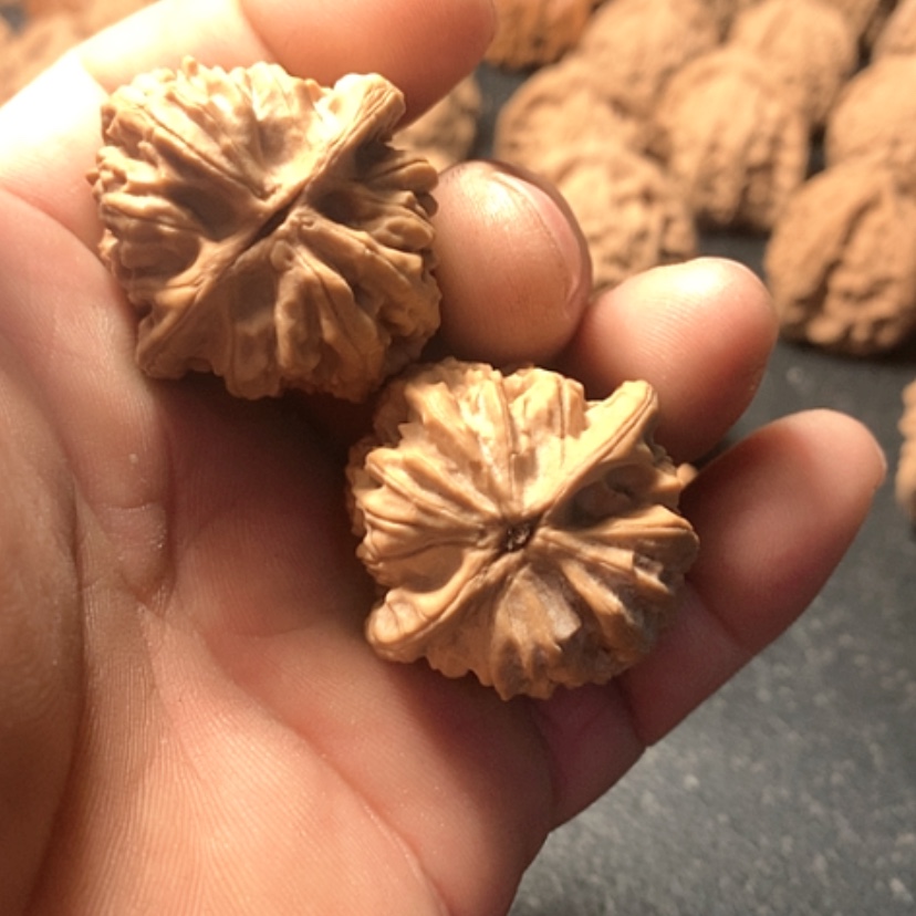 【闪购商品】李**生鸡心