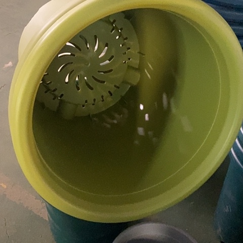 树脂四季8号微瑕果绿无托5个