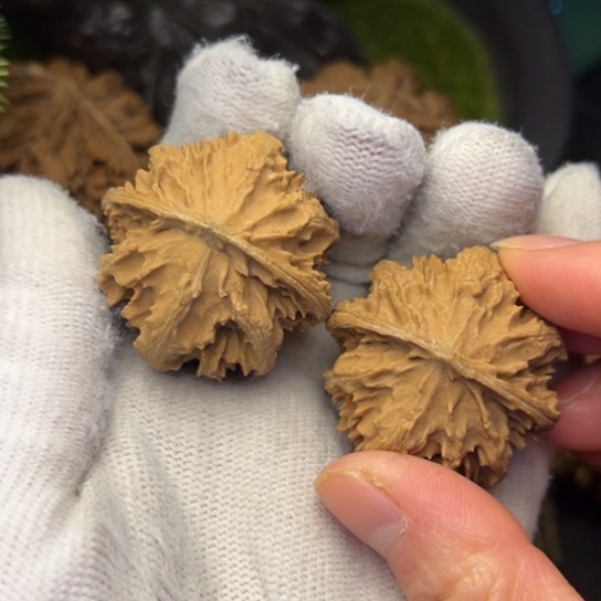 吊坠文玩核桃秦岭核桃10