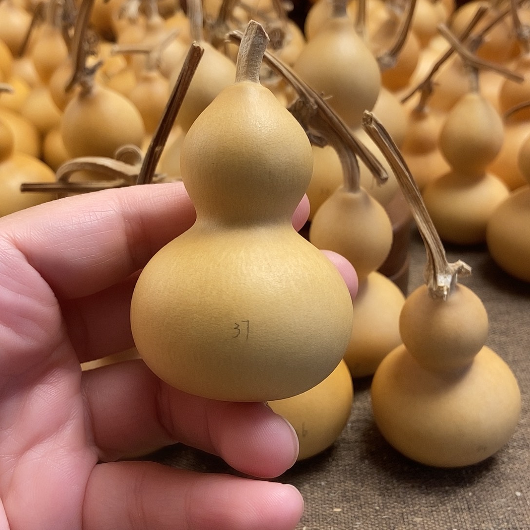 文玩葫芦 完美主义者 慎拍37
