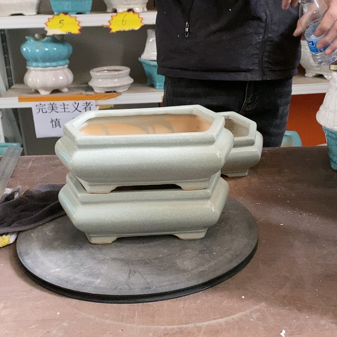 花盆花盆里放满鲜花