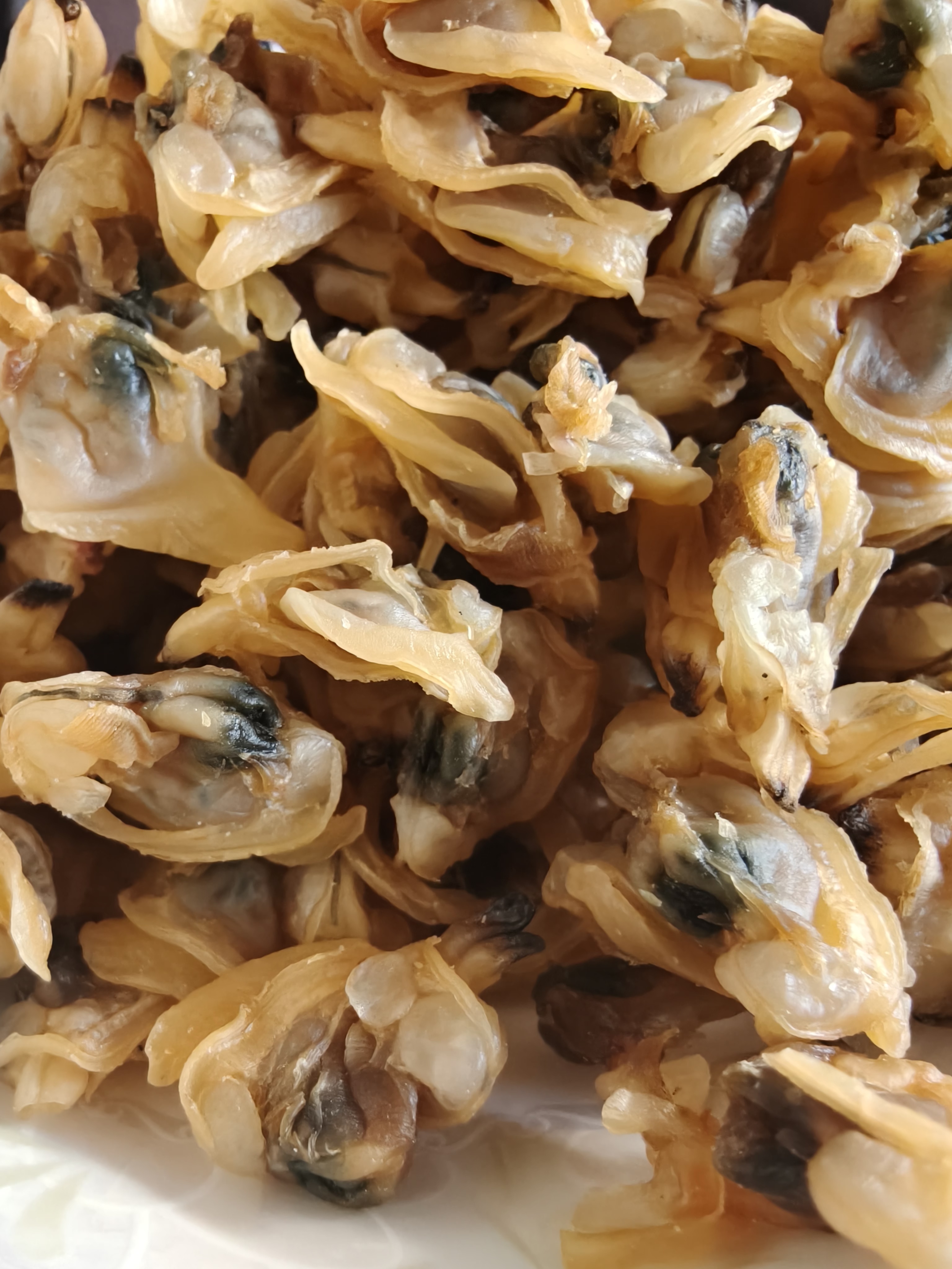 青岛无盐蛤蜊扇贝裙边肉干，鲜甜美味可当零食500克装蛤蜊干海鲜