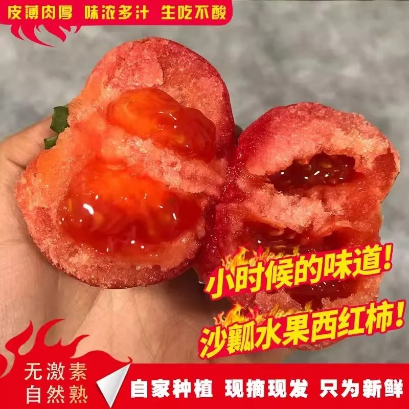 【贝亚芮优选】山东生吃沙瓤西红柿新鲜当季大番茄自然熟整箱粉柿子