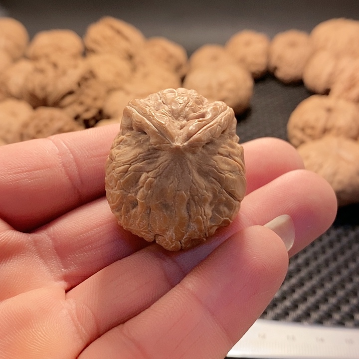 把件文玩核桃元宝小兔子全品