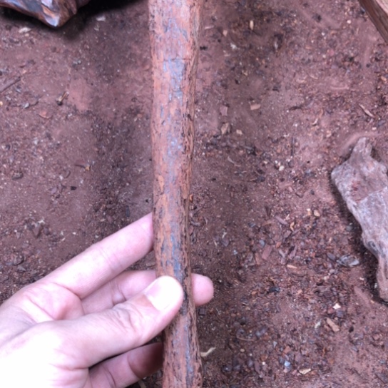 许***华黄花梨/降香黄檀手串原木料定制，不退不换