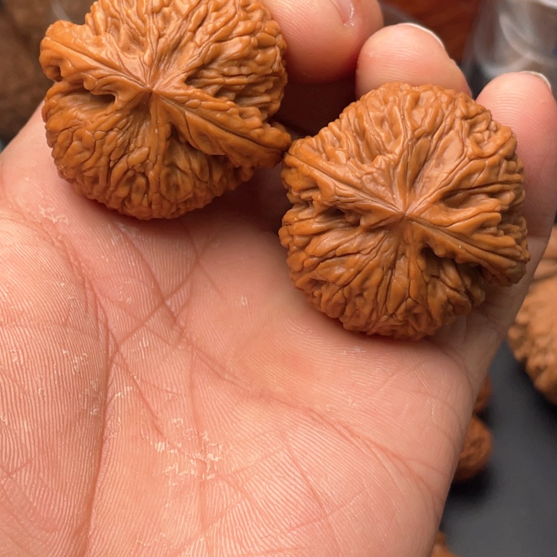 文玩核桃吊坠41全品蛟龙