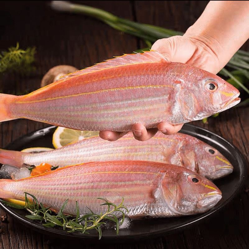 新鲜金线鱼(1斤3条) 5斤  广东阳江野生海捕