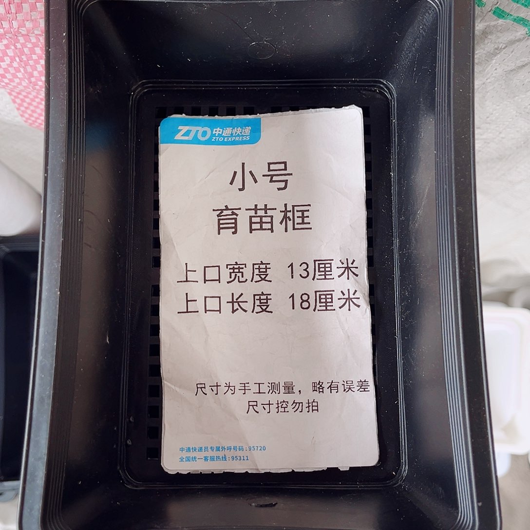 塑料小号育苗框黑色10个