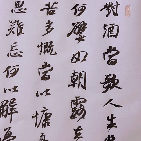 书法张建东老师书法作品