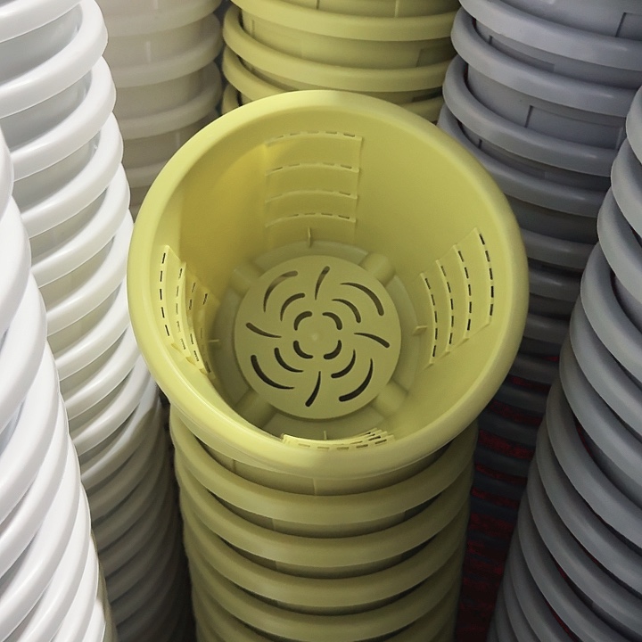 编号501果绿无托6个