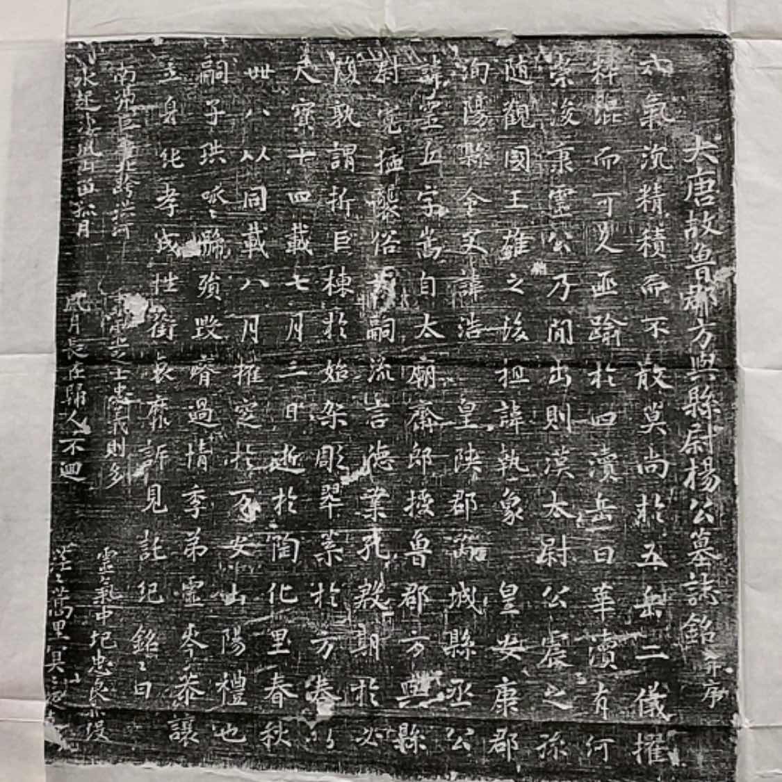 【闪购商品】拓片用纸其他福利杨