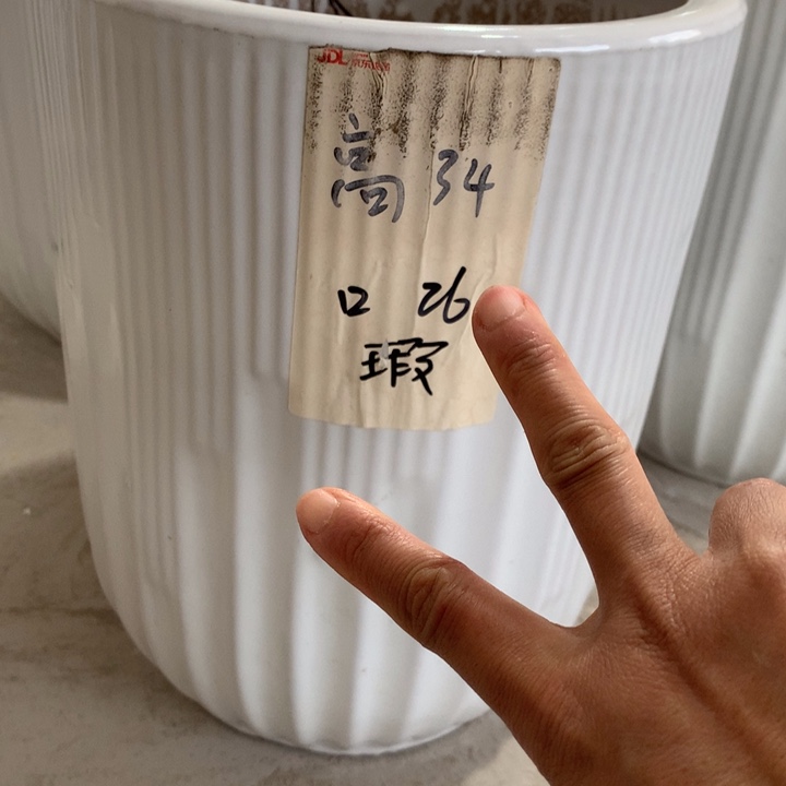 【闪购商品】红陶高温陶瓷花盆默认瑕疵