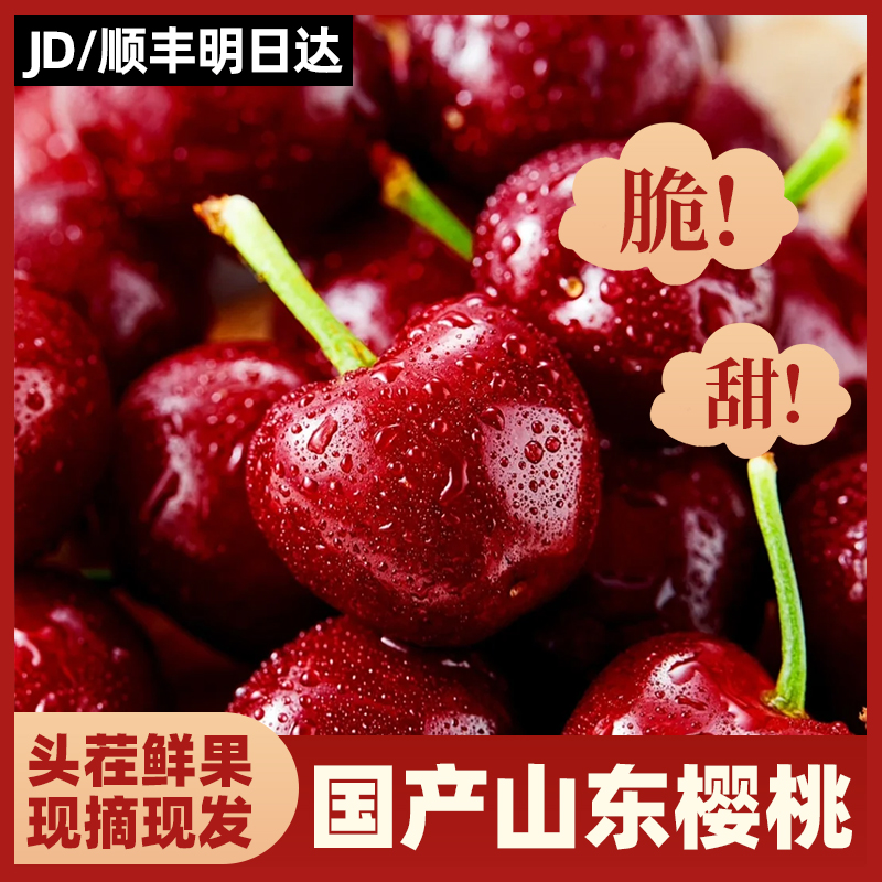 【顺丰明日达】山东国产大樱桃头茬鲜果脆甜多汁送礼水果 果径2J-4J 1斤/3斤装美早山东省